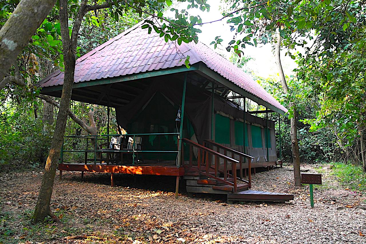 TANAPA Tent Gombe Stream