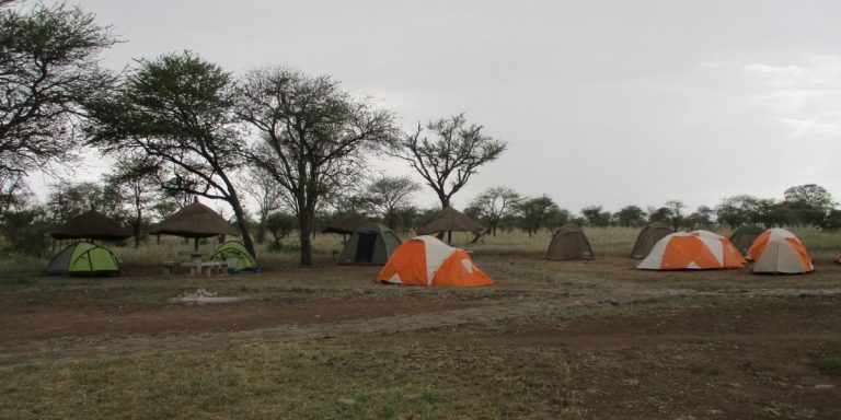 seronera campsite2