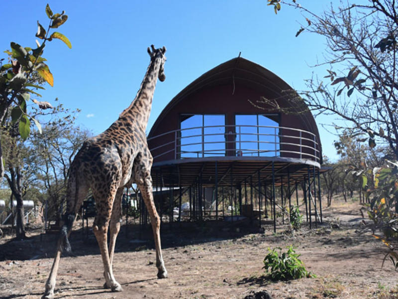 Tanzania Wild Camps Ngorongoro Safari Lodge