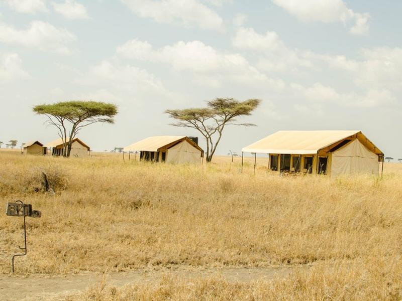 Ngorongoro Crater Tented Camp