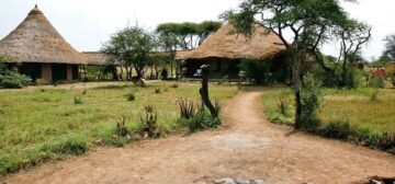 Serengeti Wildlands Camp