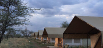 Angani Serengeti Camp