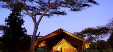 Kilima Valley Serengeti Tented Lodge