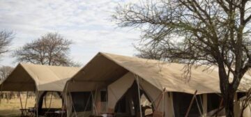 Nomad Serengeti Safari Camp