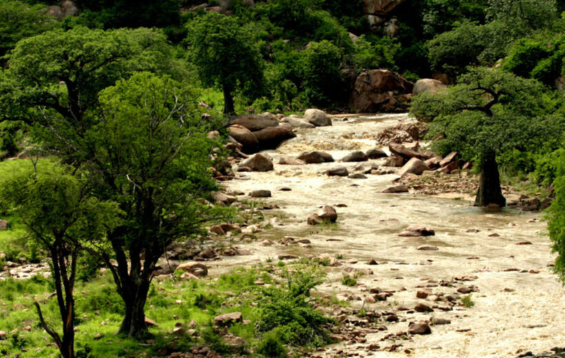 4 Day - Rubondo Island Tanzania Safari