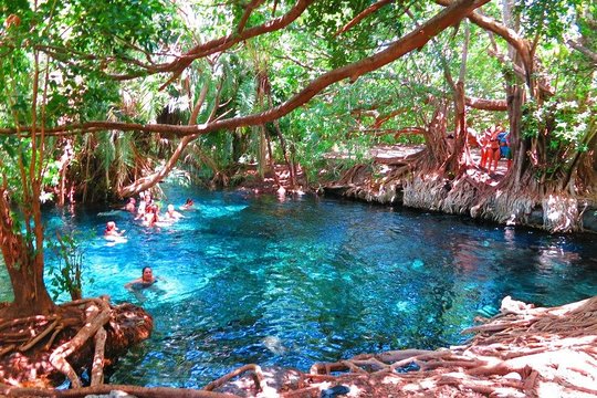 Kikuletwa Hot Springs