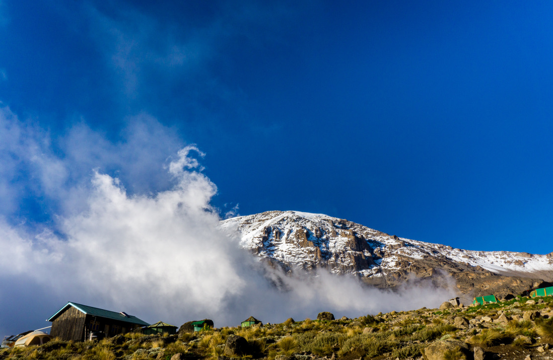 Mt Kilimanjaro Day Trek to Shira Plateau