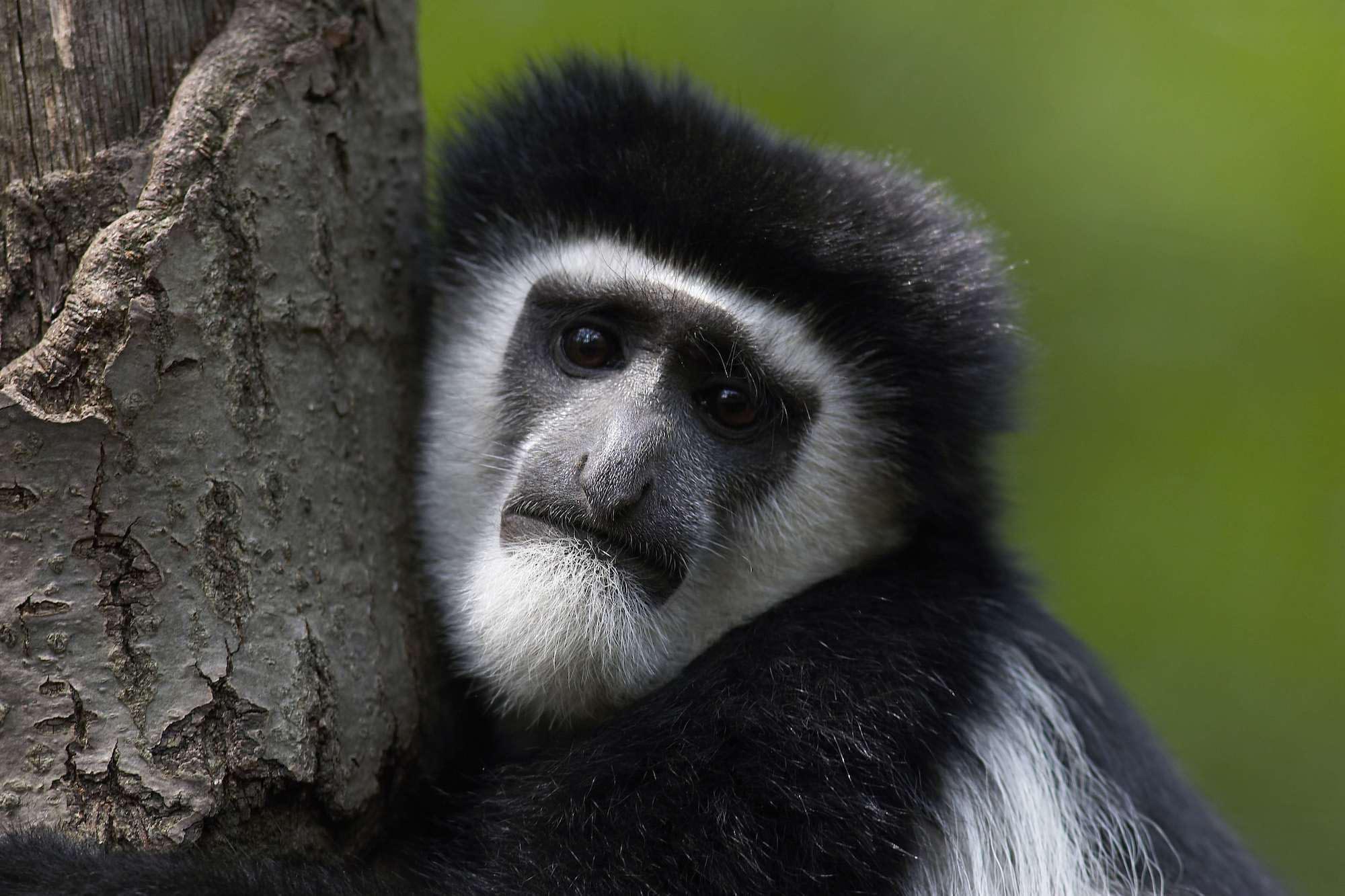 Arusha National Park