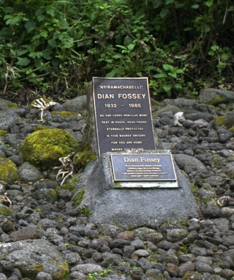 Dian Fossey Memorial Trek