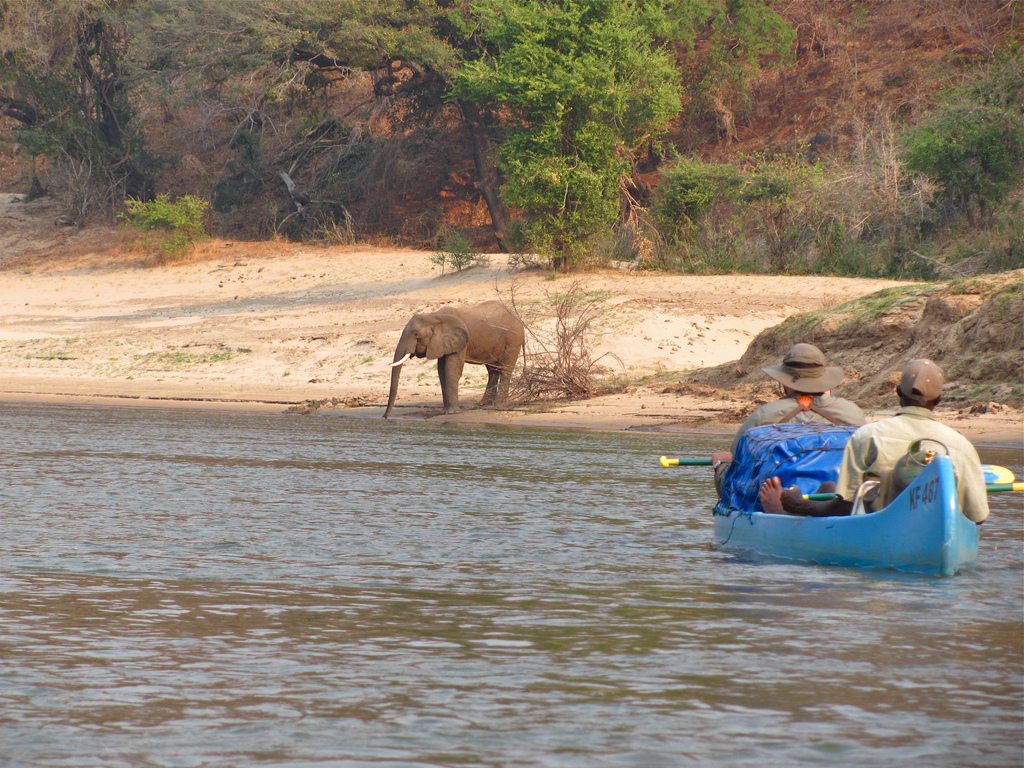 Canoeing in Arusha National Park – Tranquil Safari by Water