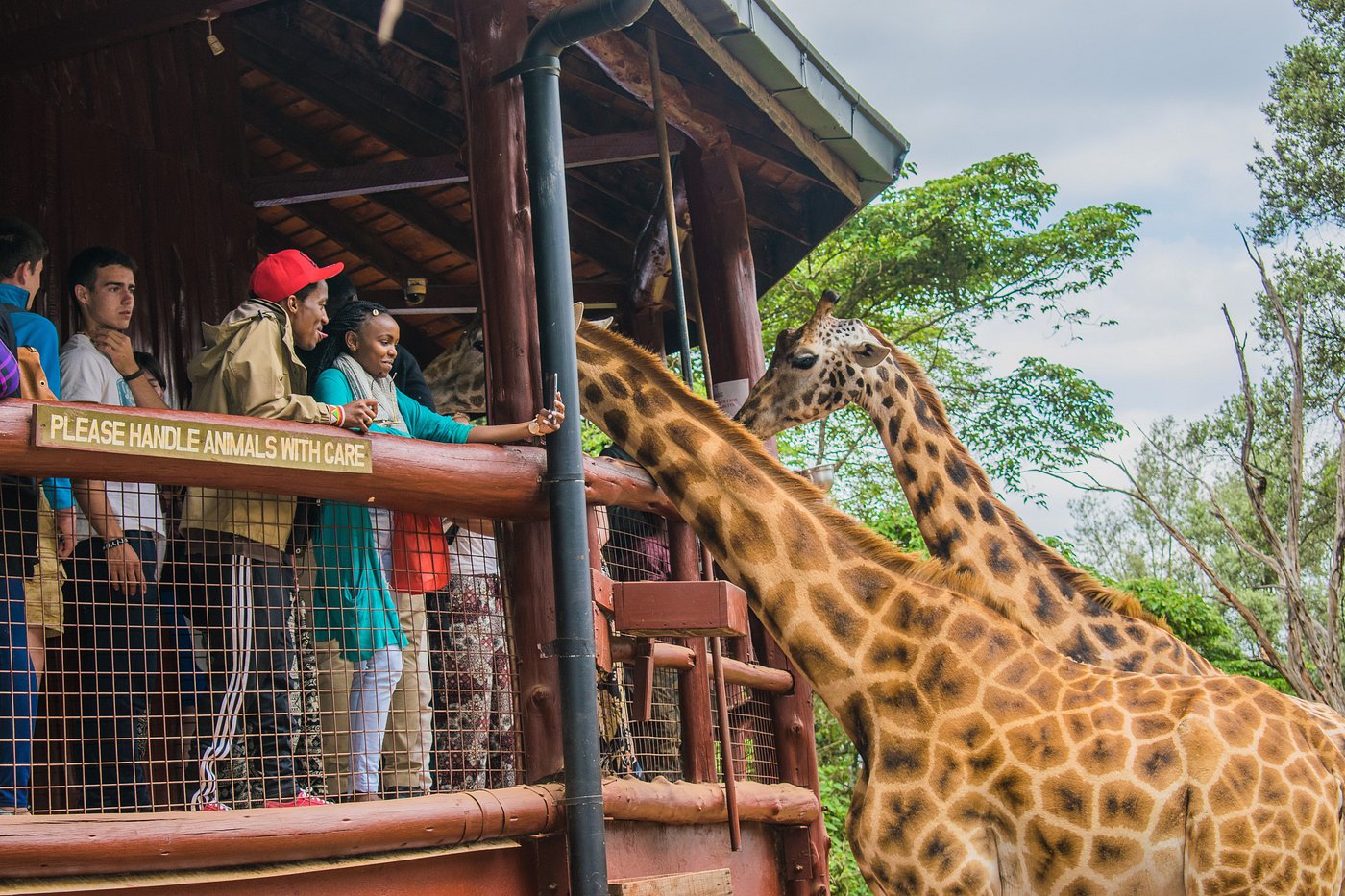 The Giraffe Centre Nairobi