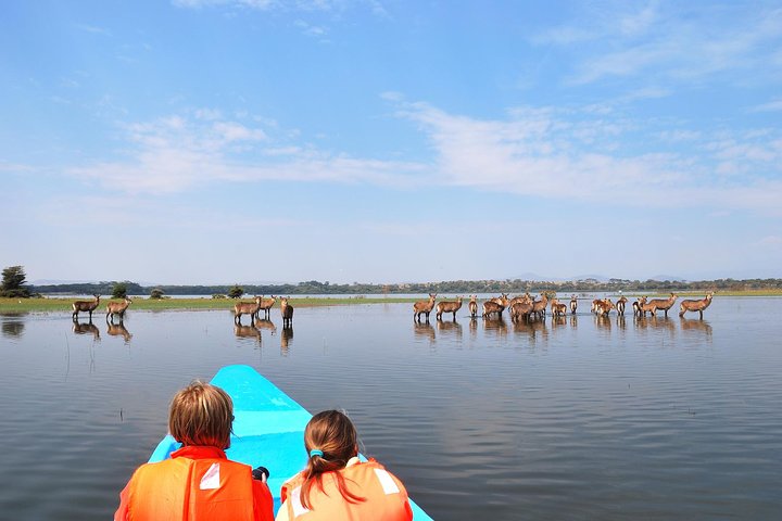 Lake Naivasha Boat Ride - Nairobi