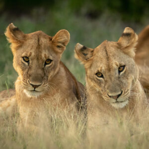 7 Day Tanzania Highlights