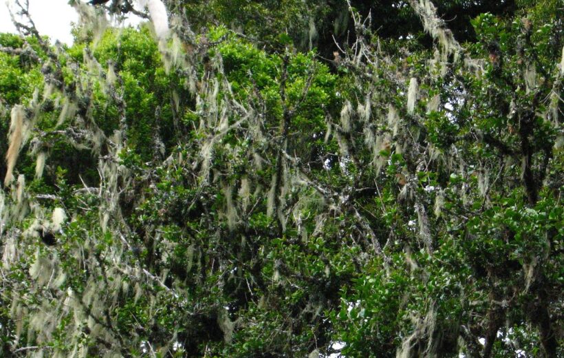 2 Day Taste of Kilimanjaro - Marangu Route