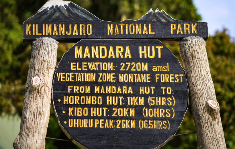 6 Day Mt Kilimanjaro Marangu Route