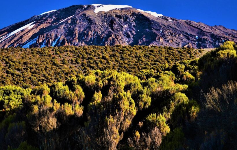 6 Day Mt Kilimanjaro - Shira Route