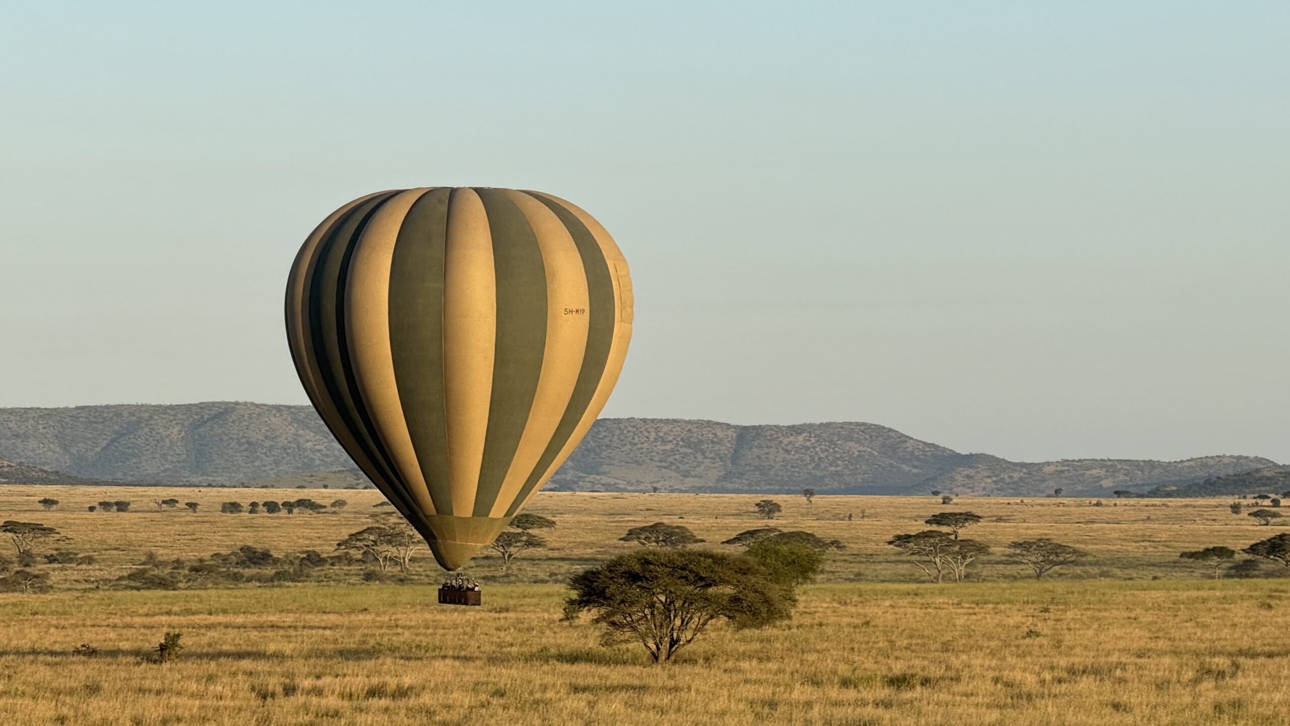 Balloon Safari and Champagne Breakfast