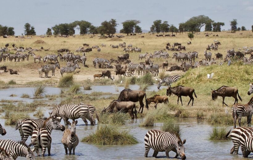 4 Day Adventure Camping Safari - Lake Manyara, Serengeti, Ngorongoro Crater