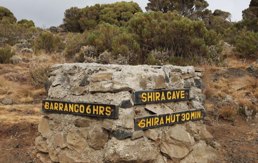 8 Day Mt Kilimanjaro - Shira Route